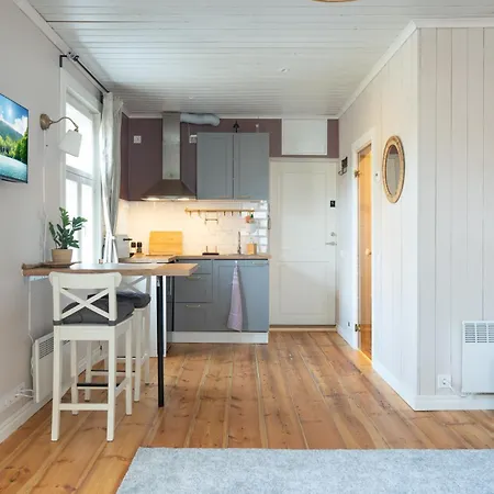 Garden Next To Telliskivi & Old Town